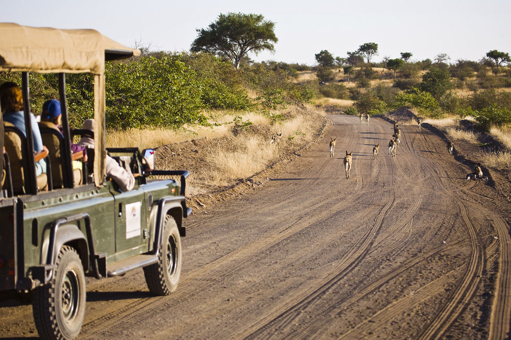 Tuli Safari Lodge Lentswelemoriti Exterior foto